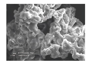 交联聚维酮（药用辅料）