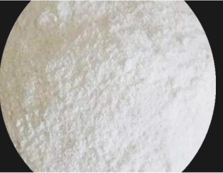 交联羧甲基纤维素钠（药用辅料）