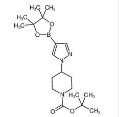 4-[4-(4,4,5,5-四甲基-1,3,2-二氧杂环戊硼烷-2-基)-1H-吡唑-1-基]哌啶-1-甲酸叔丁酯