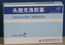 头孢克洛