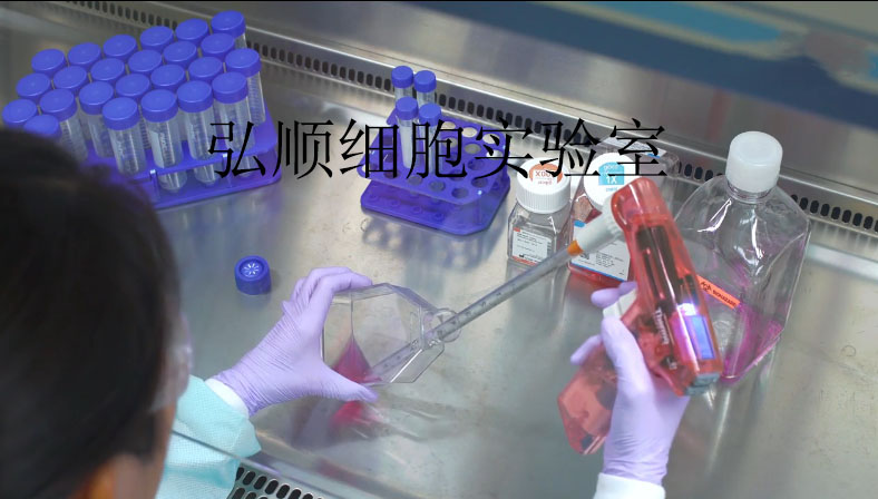 NCI-H2107[H2107]细胞系|人肺癌细胞系