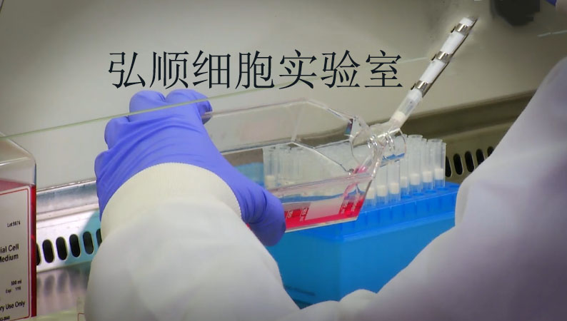 NCI-H1341 Cell<人小细胞肺癌细胞系>