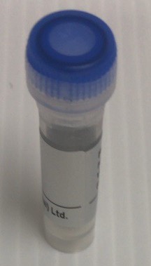 (2R)-2-amino-3-(dimethylamino)propanoic acid
