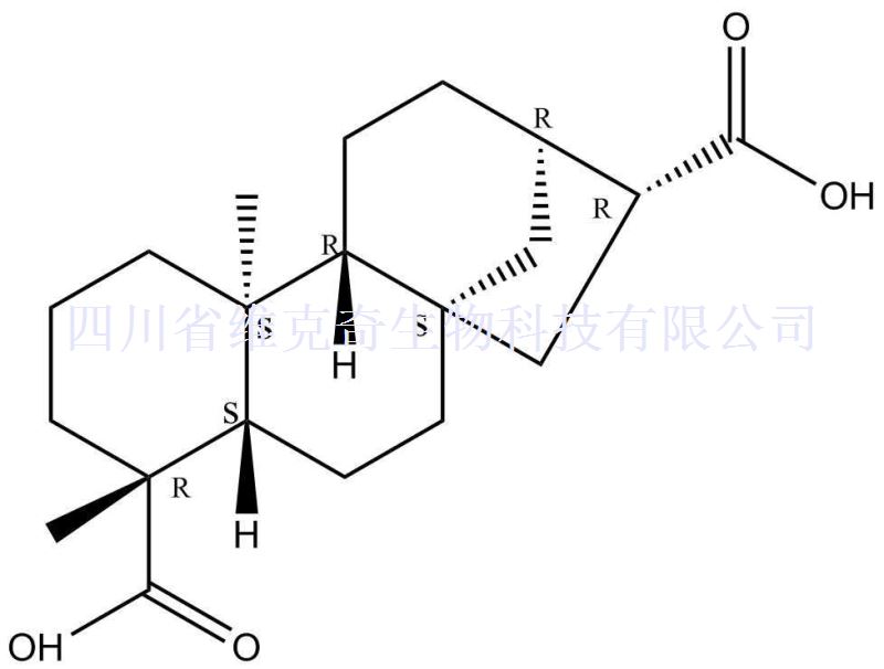 ent-贝壳烯烷-17,19-二酸