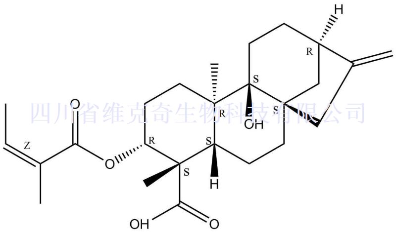 3Alpha-当归酰氧基-9beta-羟基等效贝壳杉