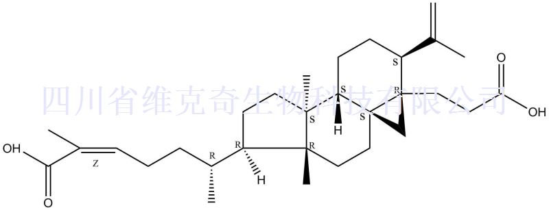 黑五味子酸