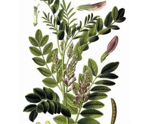 水溶性光甘草定、光甘草定脂质体、纳米包裹光甘草定、光甘草定纳米乳，水溶性甘草黄酮