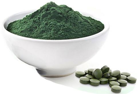 螺旋藻生产厂家