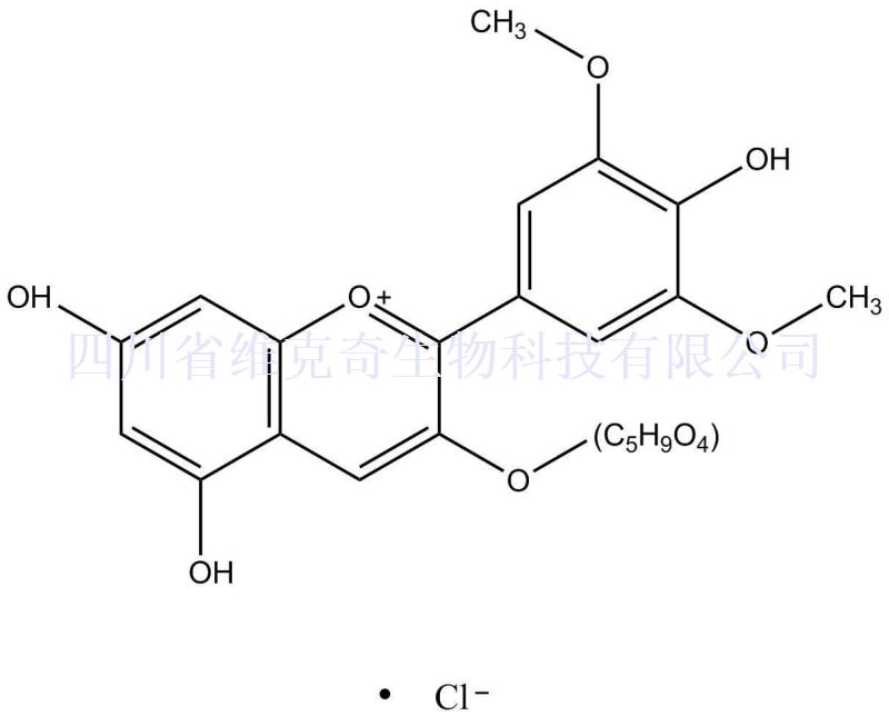氯化锦葵色素-3-O-阿拉伯糖苷