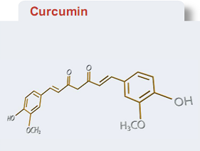 纳米脂质体姜黄素；纳米包裹姜黄素；水溶性姜黄素；生物活性姜黄素；纳米姜黄素