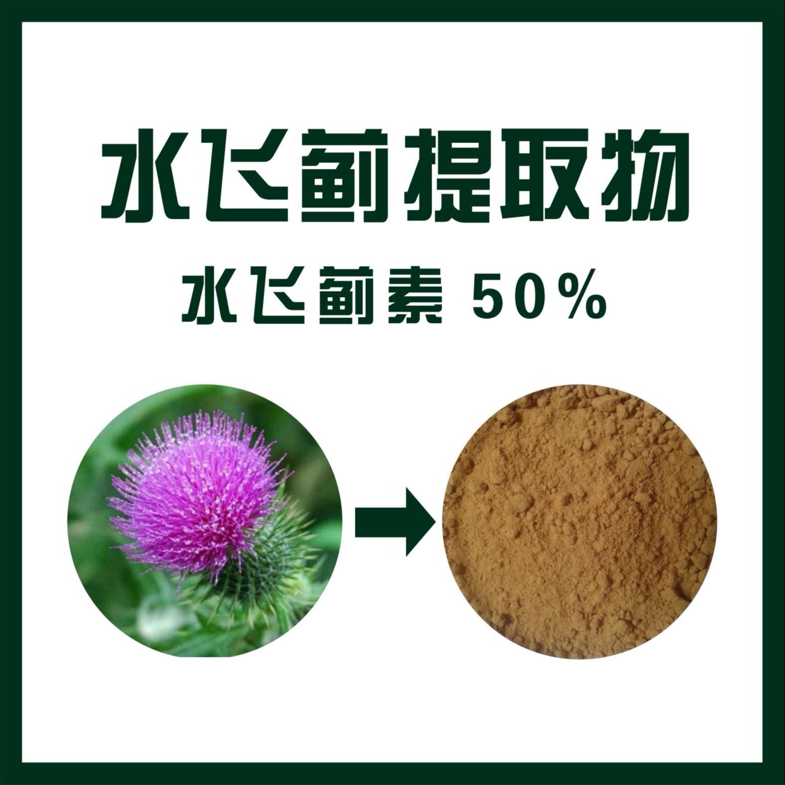 水飞蓟提取物水飞蓟素