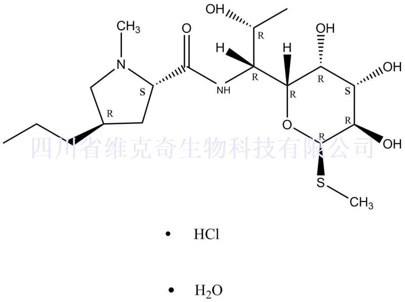 盐酸林可霉素一水合物/林可霉素盐酸盐一水合物