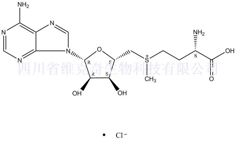 S-(5'-腺苷基)-L-氯化蛋氨酸