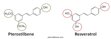 紫檀芪脂质体、纳米包裹紫檀芪、紫檀芪纳米乳、紫檀提取物、水溶性紫檀芪、油溶性紫檀芪