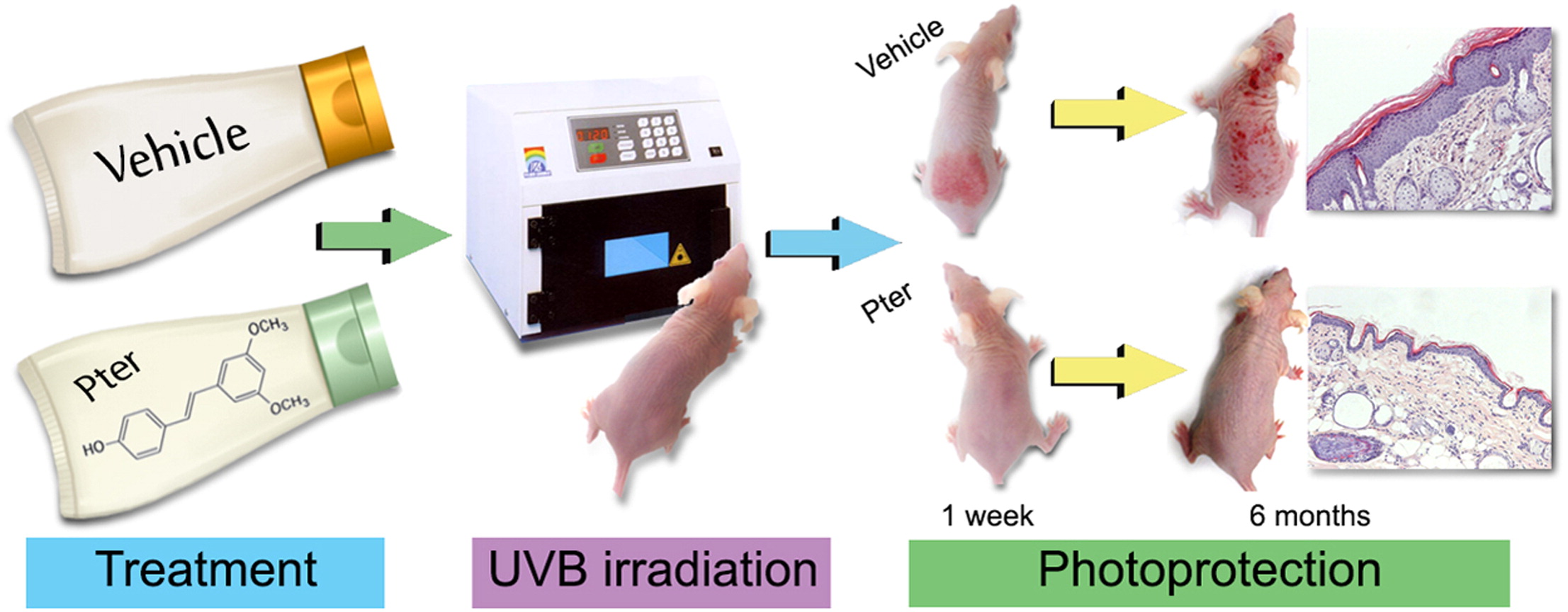 紫檀芪脂质体、纳米包裹紫檀芪、紫檀芪纳米乳、紫檀提取物、水溶性紫檀芪、油溶性紫檀芪