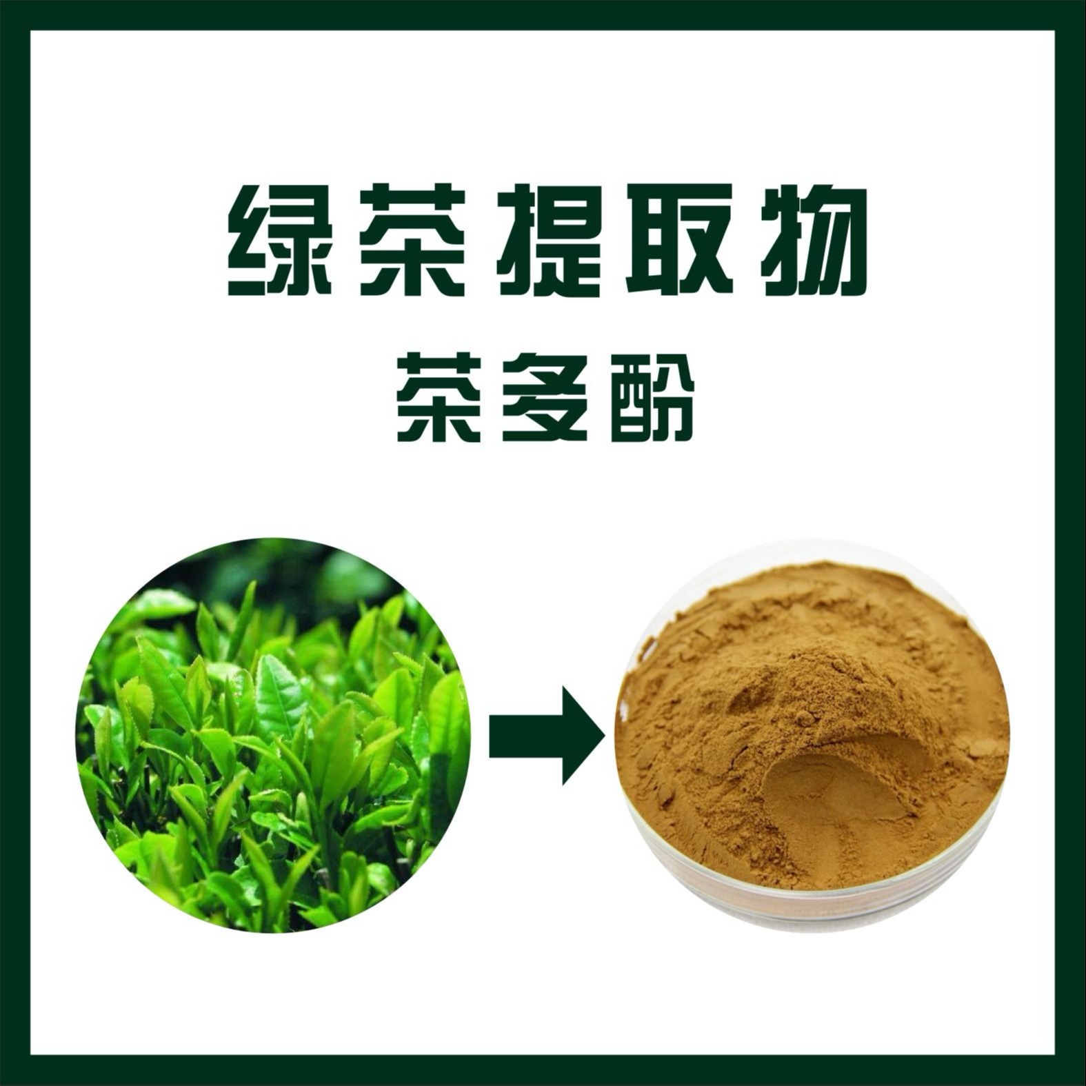绿茶提取物（茶多酚）
