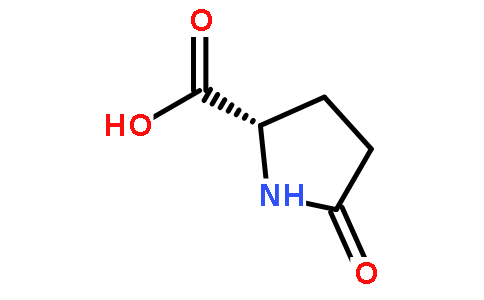 L-焦谷氨酸