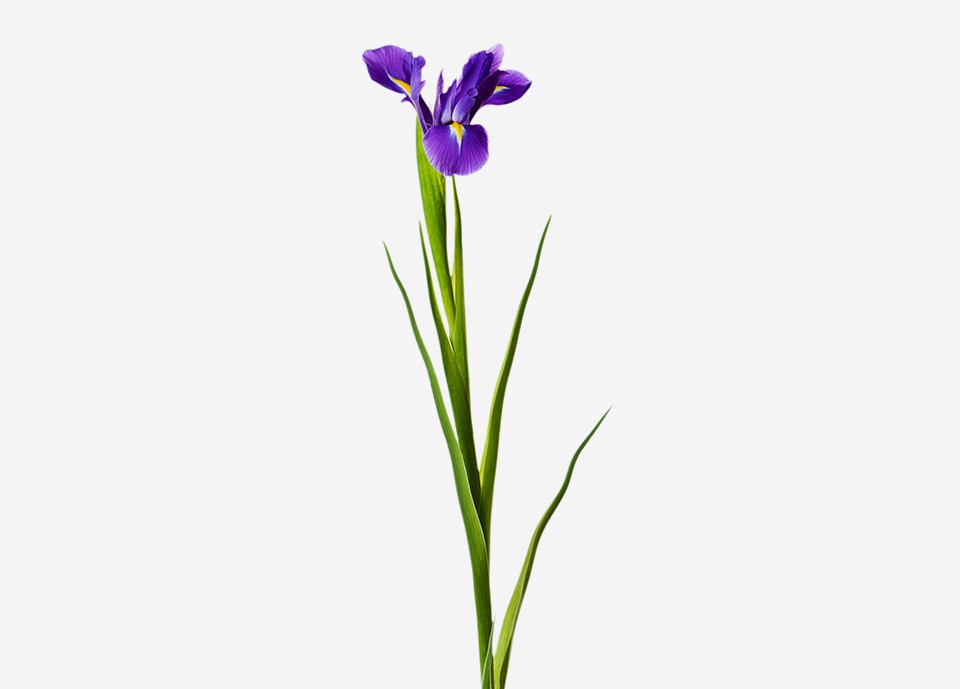 季铵盐-73，皮傲宁，璞瑞宁