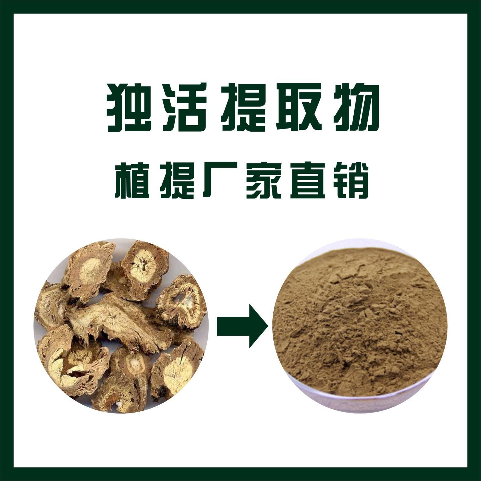 独活提取物/植物提取物/厂家直销