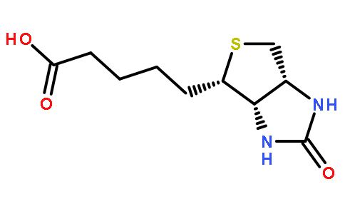 卵白素（鸡蛋）