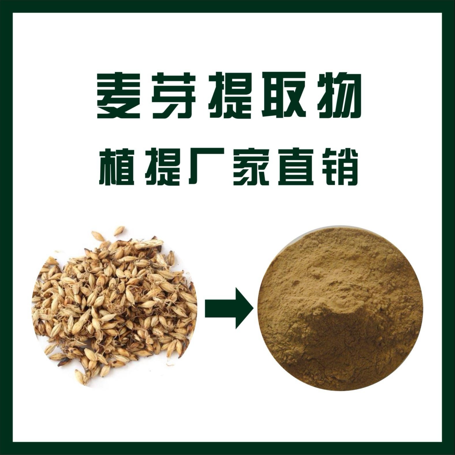 麦芽提取物