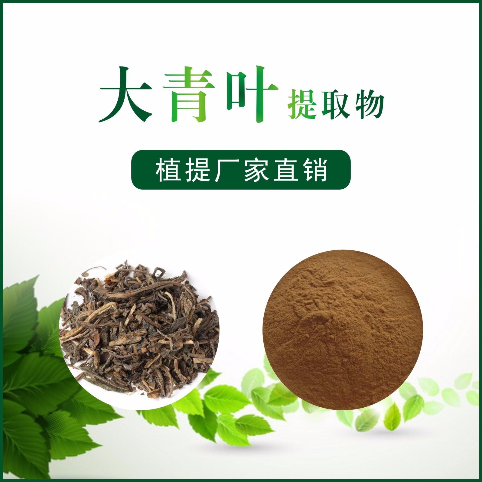 大青叶提取物