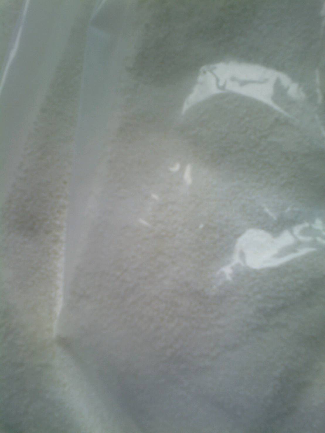 脯氨酸甲酯盐酸盐介绍