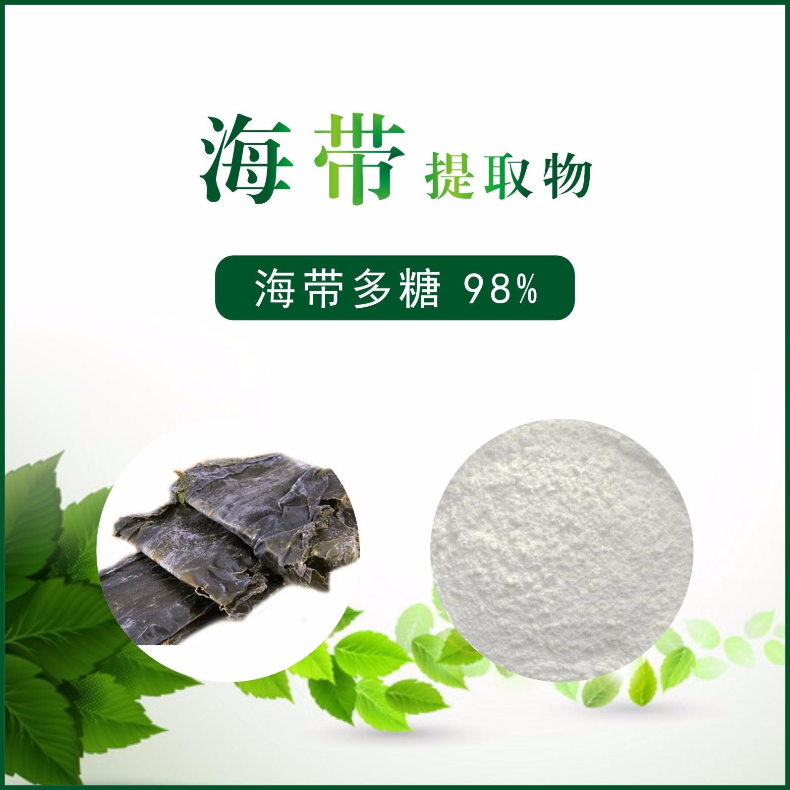 海带提取物