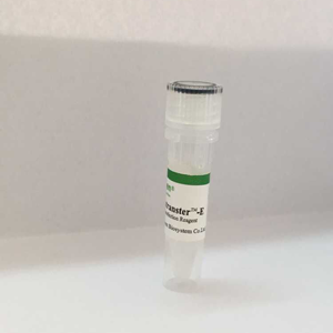 高效电转染试剂(核转染)