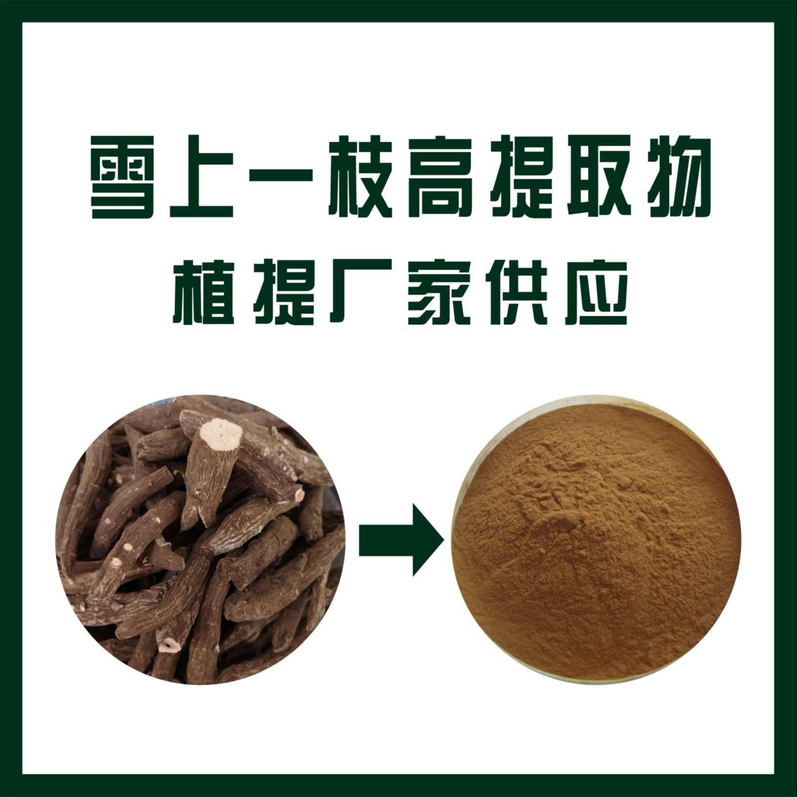 雪上一枝高提取物