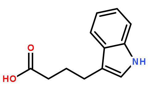 3-吲哚丁酸