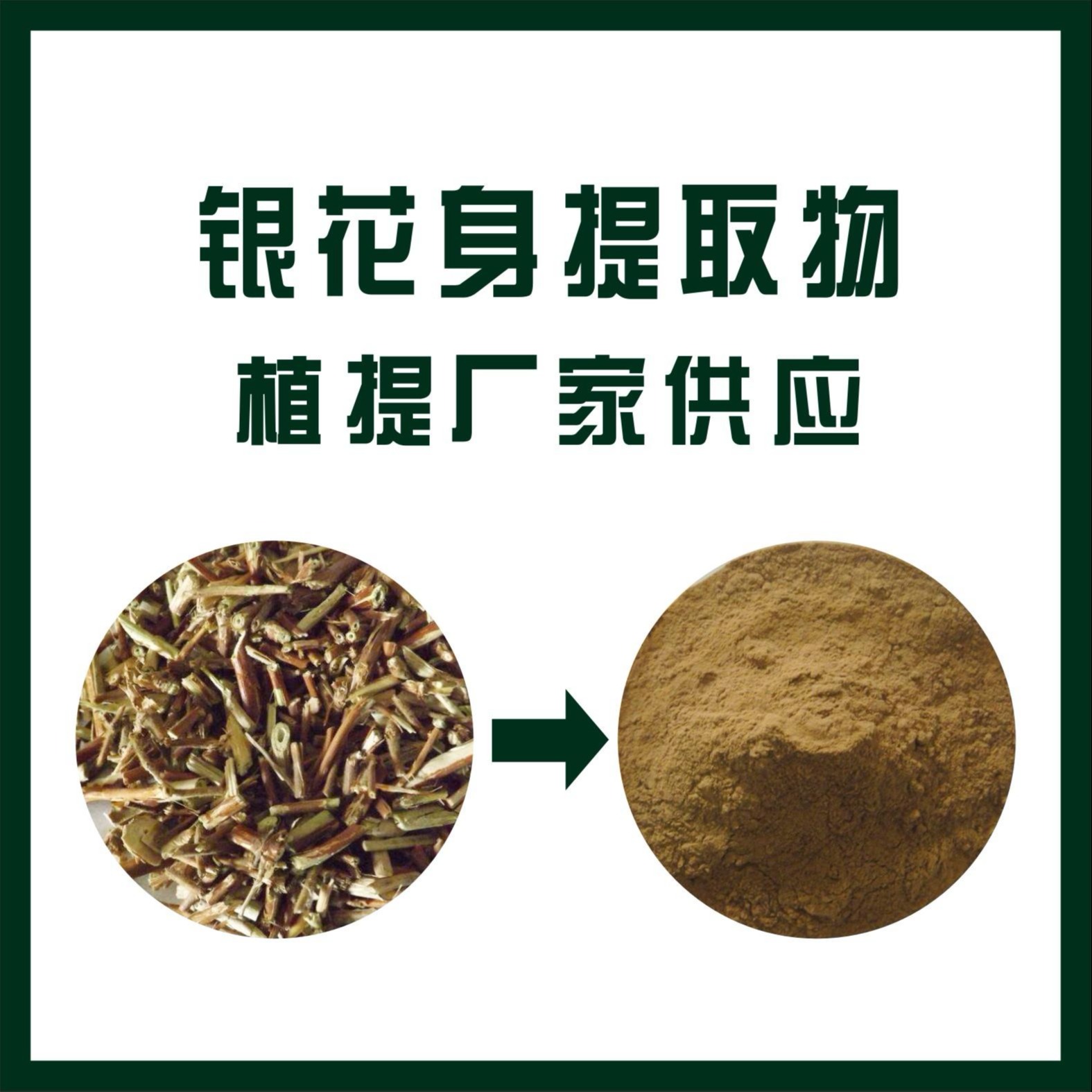 银花身提取物