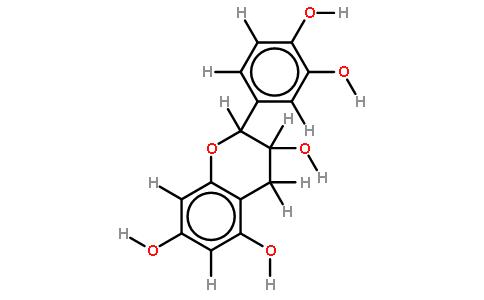 表儿茶素