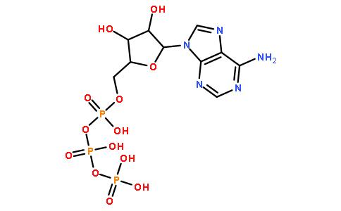 5'-三磷酸腺苷