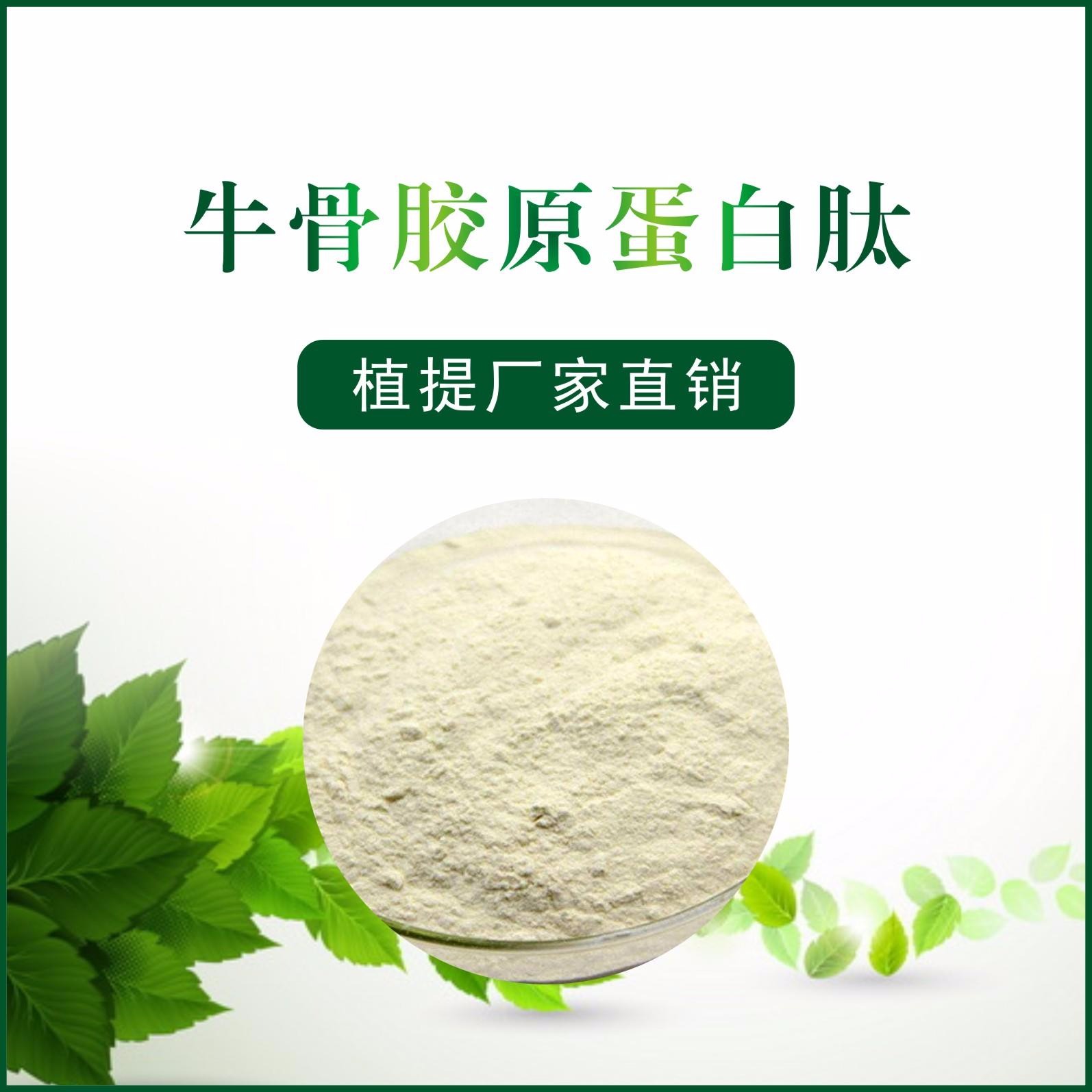 牛骨胶原蛋白肽