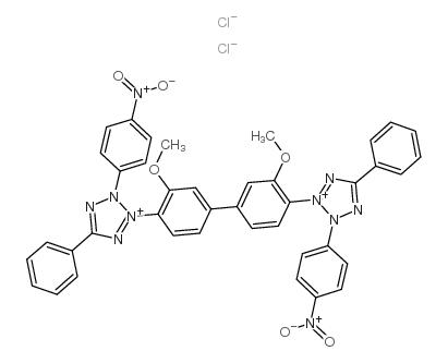 氯化硝基四氮唑蓝