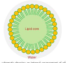 水溶油溶纳米包裹神经酰胺，纳米脂质体神经酰胺化妆品原料-浦瑞生物