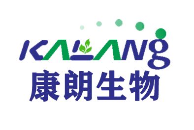 硫磺素S