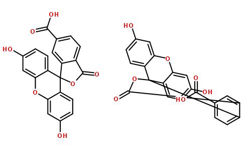 5(6)-羧基荧光素