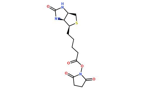 N-羟基琥珀酰亚胺生物素
