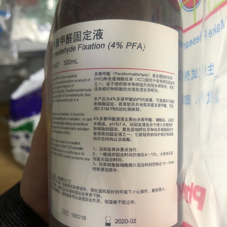 4%多聚甲醛固定