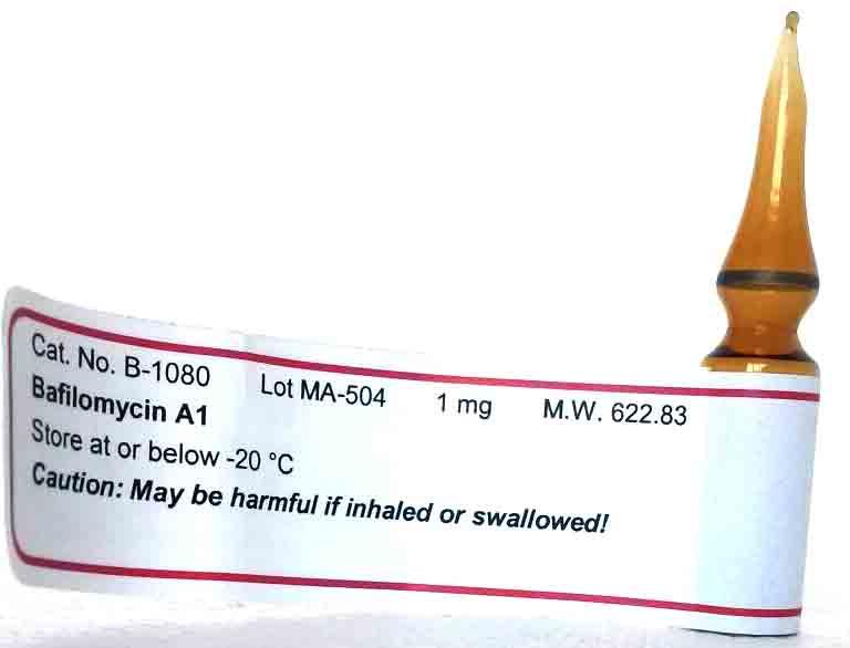 Bafilomycin A1