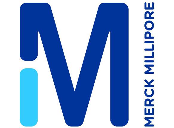 Anti-MMP-2 (Ab-8) Mouse mAb (VB3)