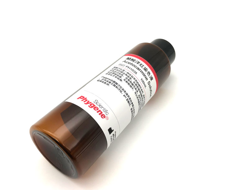 醋酸洋红染色液