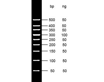 50bp DNA Ladder