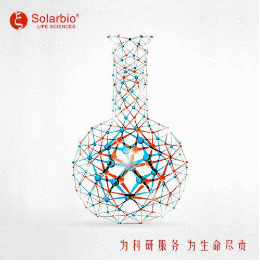 24-表芸苔素内酯