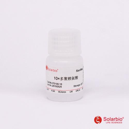 10×多聚赖氨酸