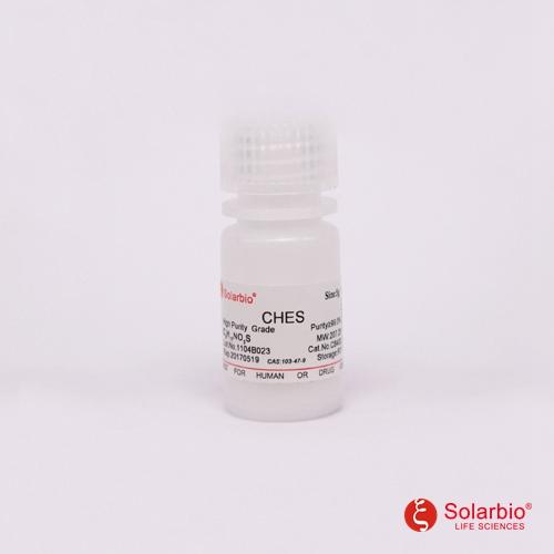 2-(环己胺基)乙烷磺酸 CHES