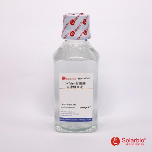5×Tris-甘氨酸电泳缓冲液