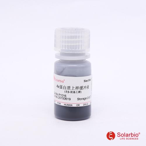 4×蛋白上样缓冲液（含巯基还原剂）
